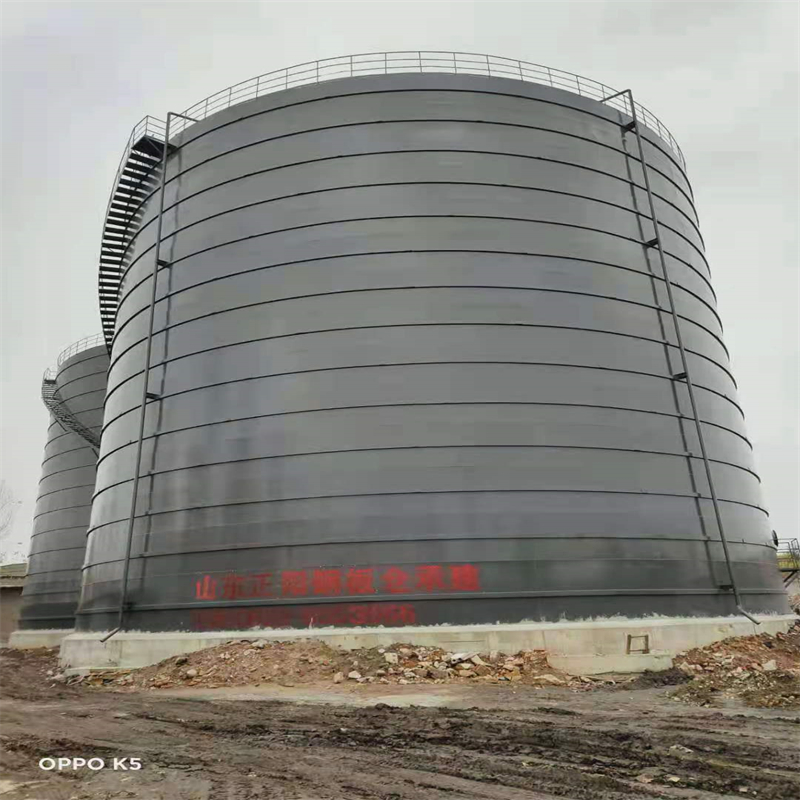 东乡3万吨大型钢板库