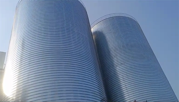 东乡2座混凝土高架卷板仓